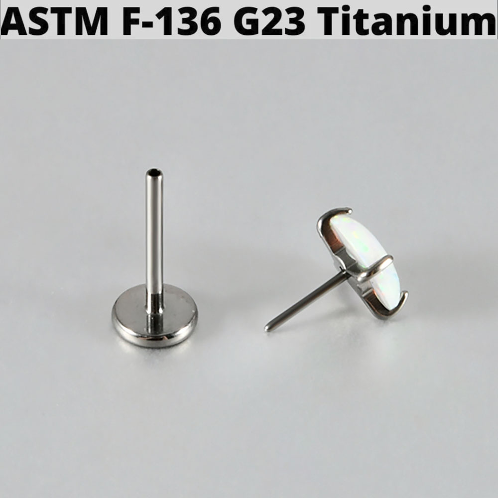 1PC G23 Titanium Gloss Round O - Body Jewelry Threadless 리뷰 및 가격