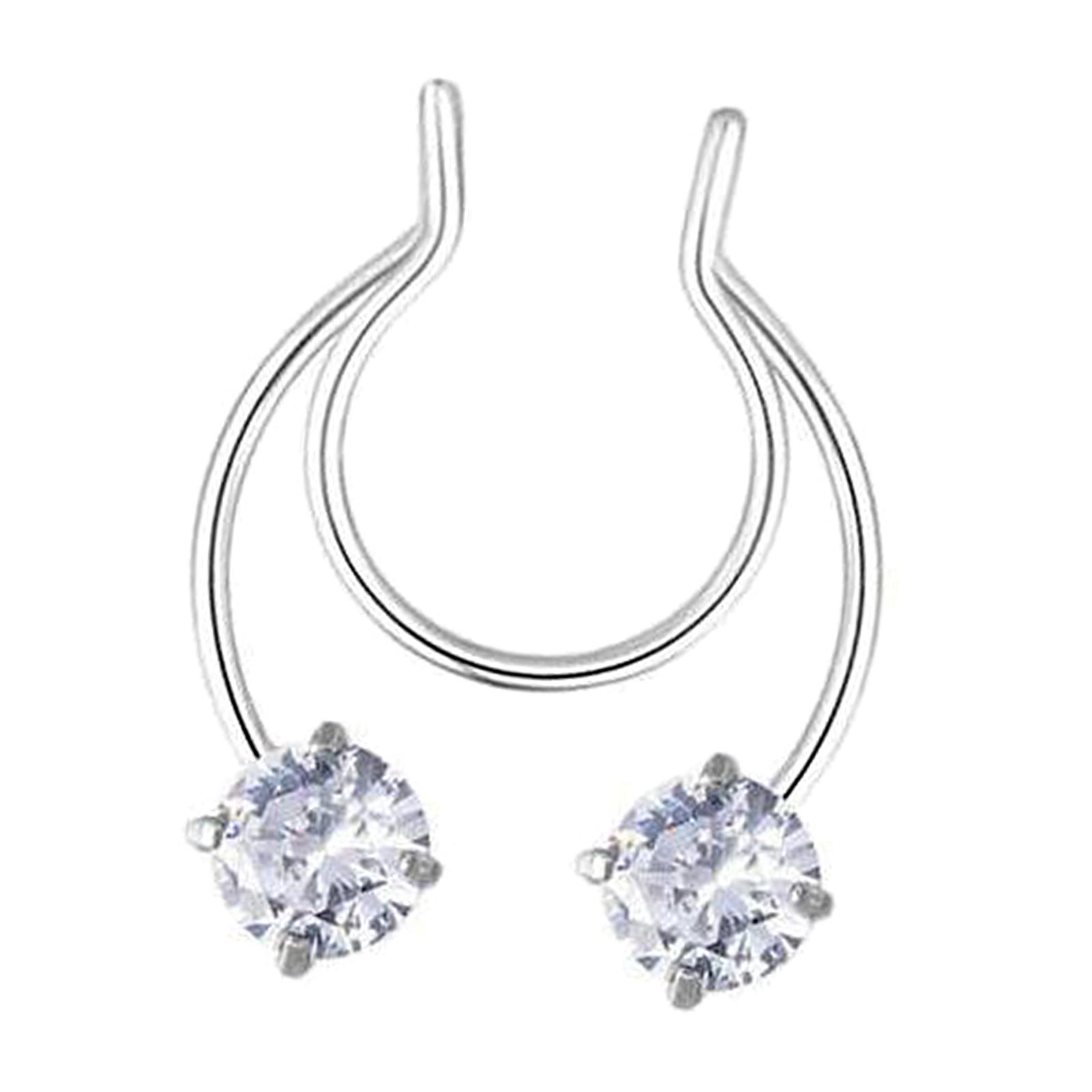 High-end Stainless Steel Nose  - Body Jewelry High End 리뷰 및 가격