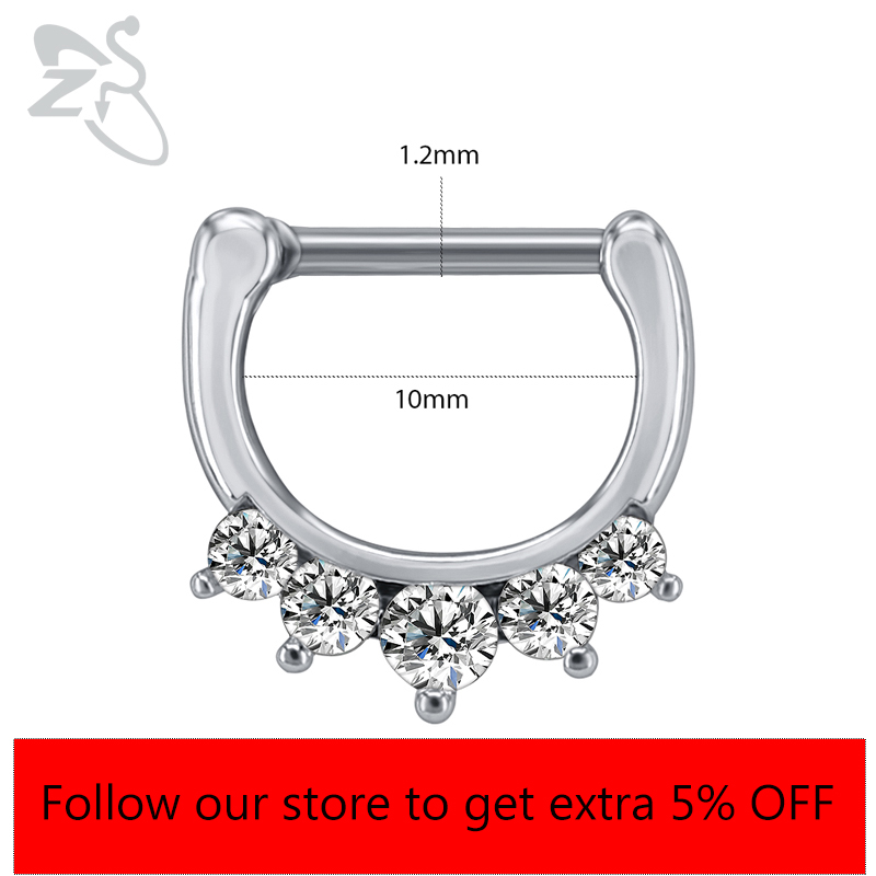 ZS 16G Surgical Steel Indian N - Body Jewelry Indian 리뷰 및 가격